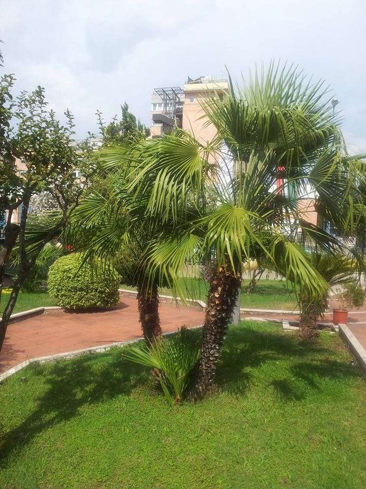 Hotel De La Ville Central Latina Facilidades foto
